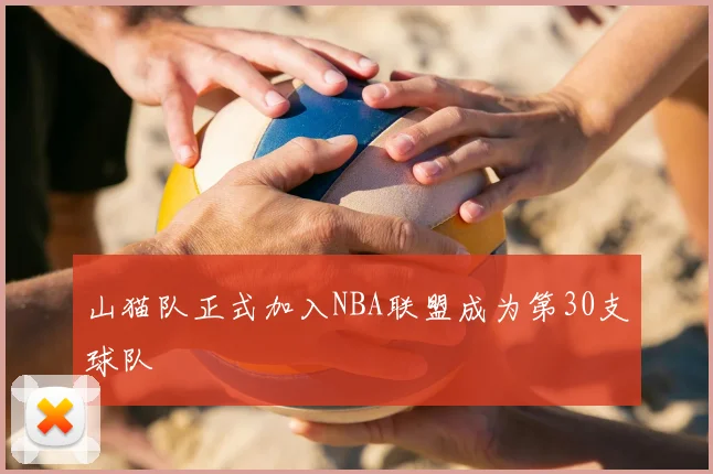 山猫队正式加入NBA联盟成为第30支球队