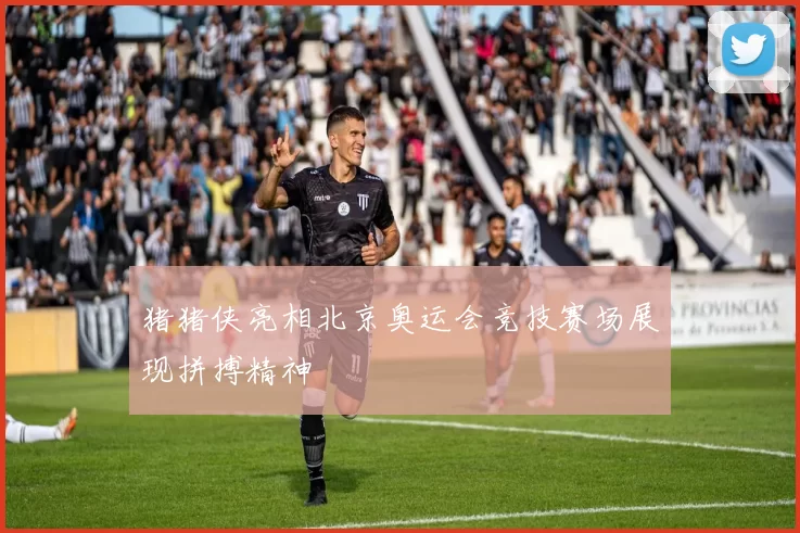 猪猪侠亮相北京奥运会竞技赛场展现拼搏精神