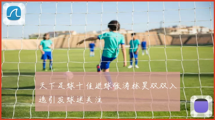 天下足球十佳进球张涛林昊双双入选引发球迷关注