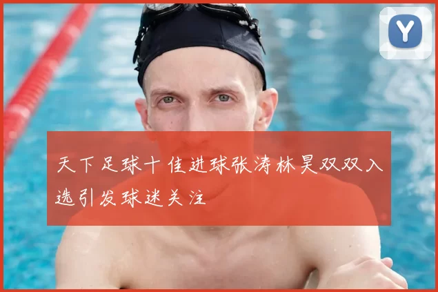 天下足球十佳进球张涛林昊双双入选引发球迷关注