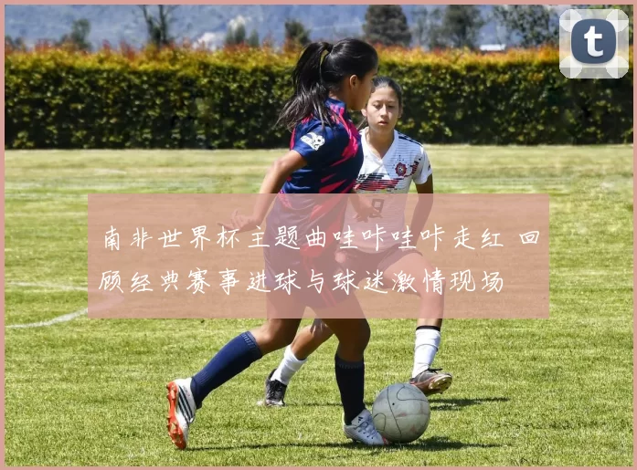 南非世界杯主题曲哇咔哇咔走红 回顾经典赛事进球与球迷激情现场